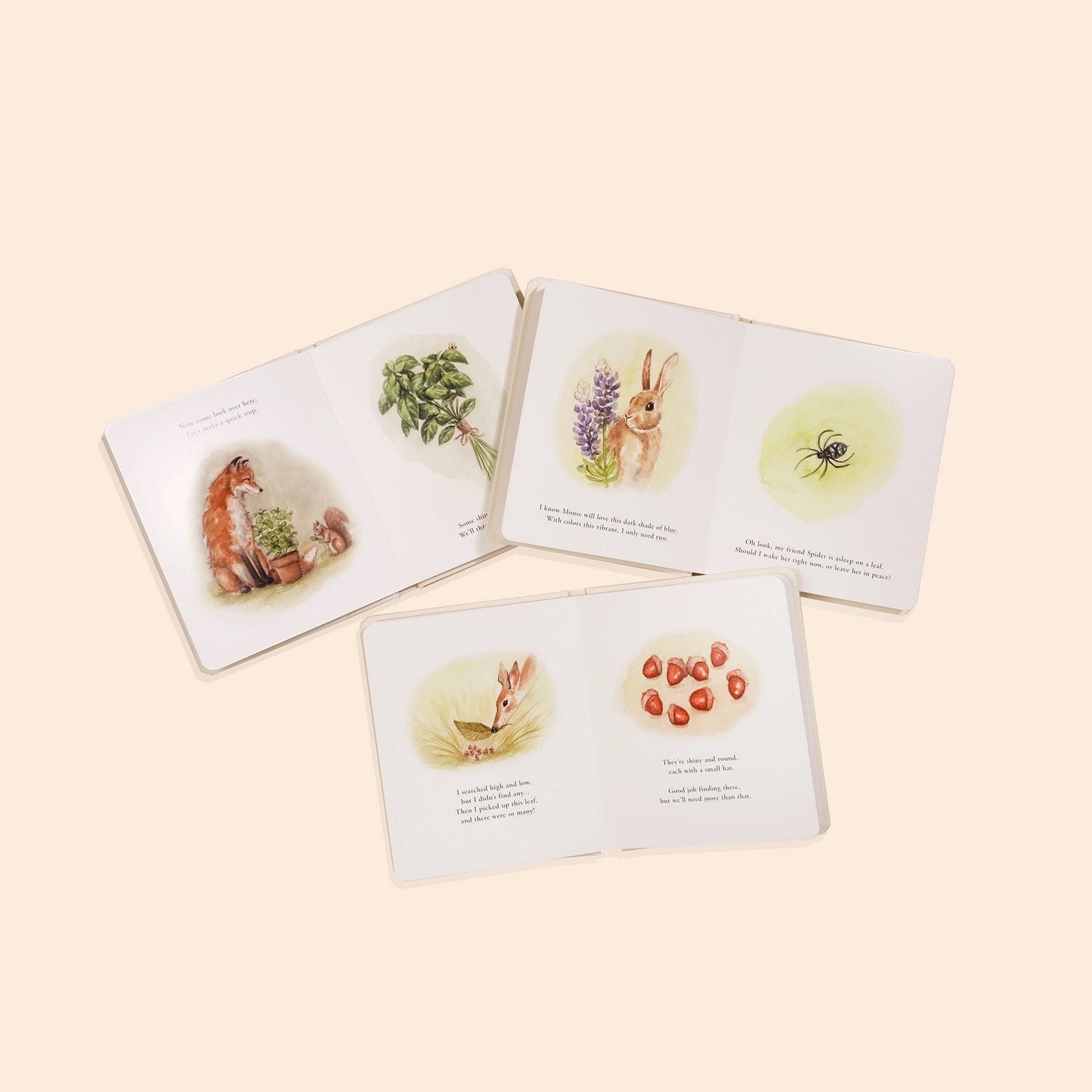 Our Little Adventures Children’s Book Set