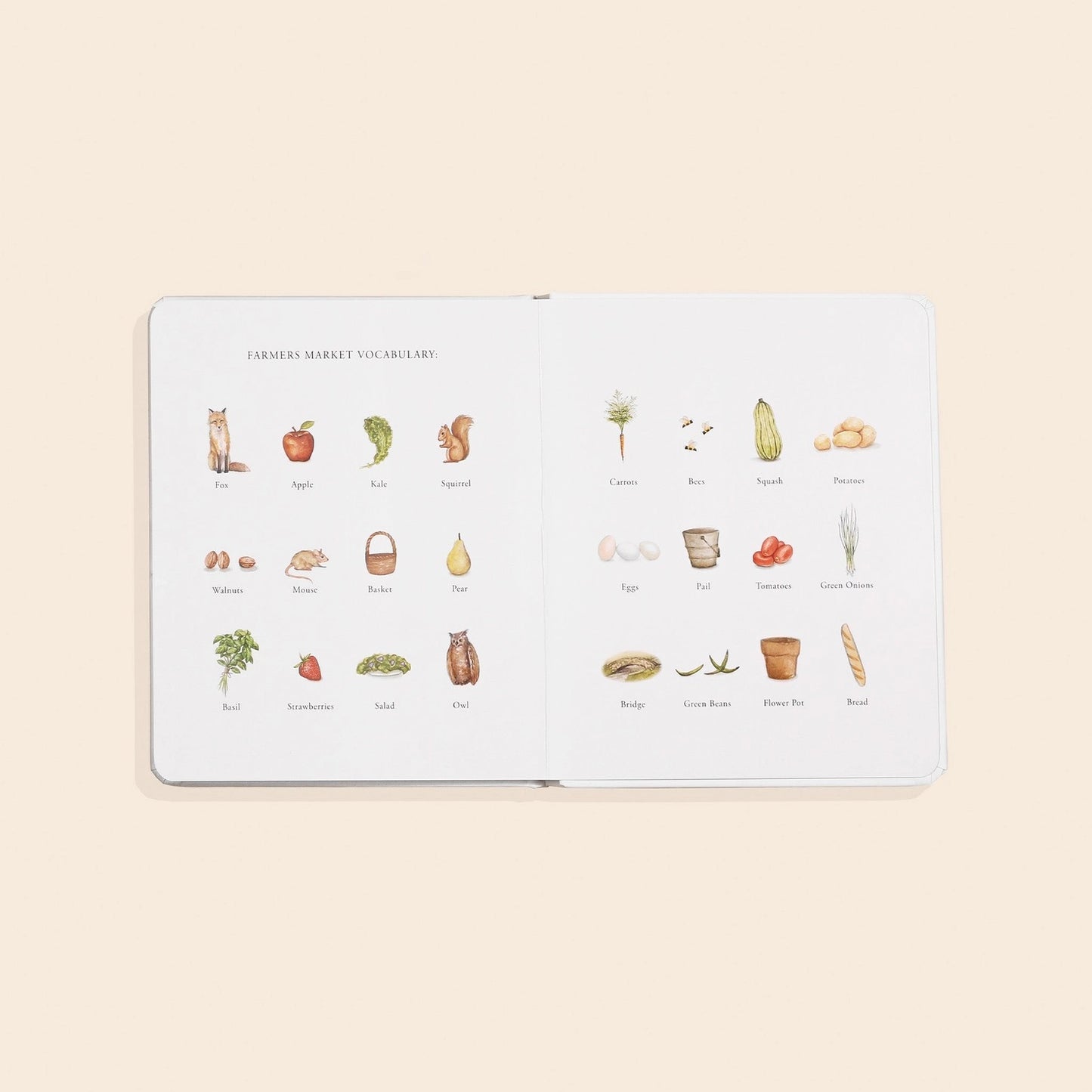 Our Little Adventures Children’s Book Set